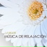 Musica de Relajacion Espace