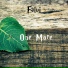 Falvi