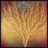 Van Der Graaf Generator 1976