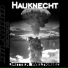 Hauknecht