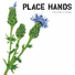 Place Hands