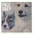 Pale Grey