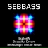 SEBBASS