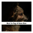 Doggy Sleep