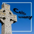 Irish Celtic Music