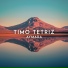 Timo Tetriz