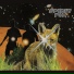 Spirit Fox