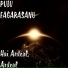 PUIU FAGARASANU