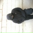 Lexis