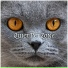 Soothing Music Collection, Healing Music Academy