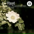 Le Vinyl