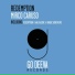 Maor Levi ft. Nyla (-)