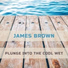 James Brown & The Famous flame