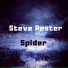 Steve Poster