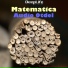 Matematica