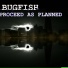 Bugfish