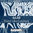 dyLAB