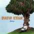 David Evan