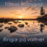 Tomas Blomqvist