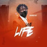 Sapashini feat. Wizchild