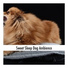 Dog Chillout Music