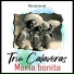 Trío Calaveras