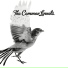 The Common Linnets