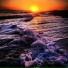 Nurture of Nature
