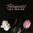 Reiki Tribe, Massage Spa Academy