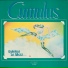 Cumulus