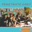 Penetrate Grey