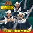 Los Dos Amigos