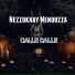 Nezzokhay Mendozza