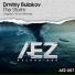 Dmitriy Bulakov