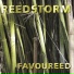 Reedstorm Saxophone Quartet