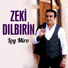 Zeki Dılbırin