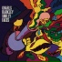 Gnarls Barkley