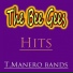 I Manero Band