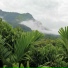 Bipeula
