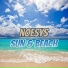 Noesys