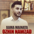 Ozhin Nawzad