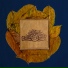 Iris da Selva