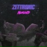 ZetTronic