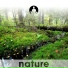 The Sounds Of Nature