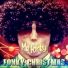 Mr Fonky