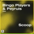Bingo Players, Peyruis