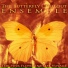 The Butterfly Chillout Ensemble