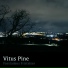 Vitus Pine