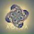 Aotoa