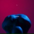 midnight, ylxr